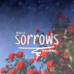 Sorrows (feat. Hauhwii)