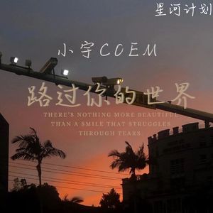 路过你的世界 伴奏