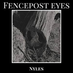 Fencepost Eyes