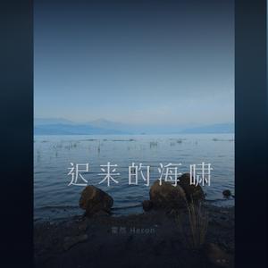 迟来的海啸