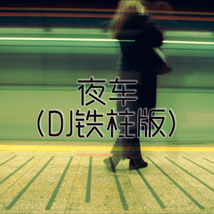 夜车（DJ铁柱版）