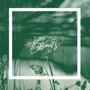 Bones
