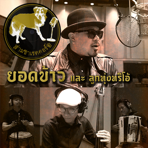 เป็นโสดทำไม