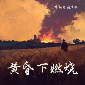 黄昏下燃烧 (女生版)