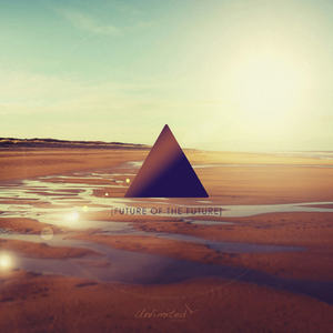 Tonight (Yeah!) (Future Of The Future Mix)