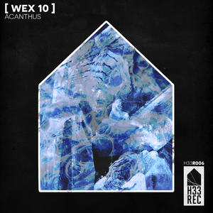 Acanthus (Original Mix)