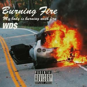 Burning Fire(prod by kaengWu)