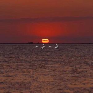 一天一天（prod.by SOULFRESH BEATS）