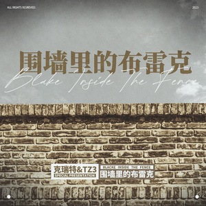 围墙里的布雷克