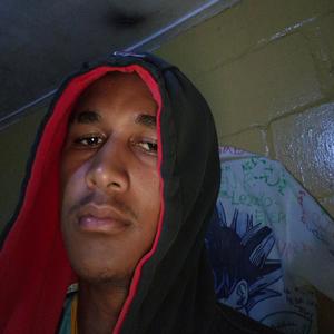 THE LYRICAL FREESTYLE