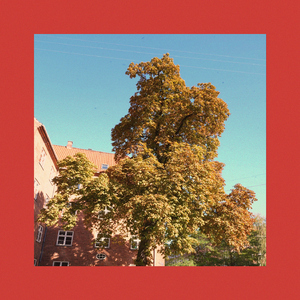 Hvad Det Ku’ Have Blevet Til