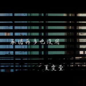 承诺再多也没用 (说唱版)
