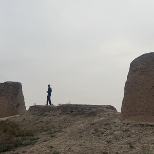 我是一只小牛马