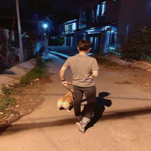 还想你 (Still Missing You)