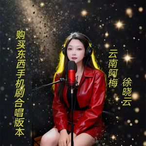 购买东西手机刷合唱版