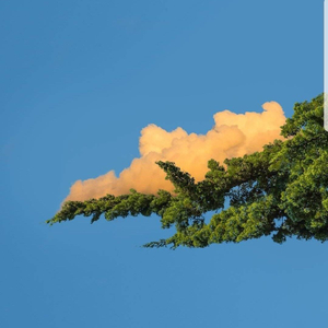 犀鸟星辰-五月天（live）（酱姜蒋晨晨 remix）