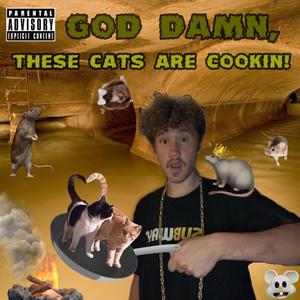 God Damn, These Cats Are Cookin!