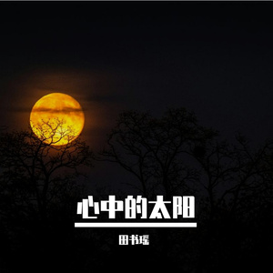心中的太阳