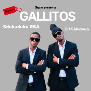 Gallitos (feat. Sdukuduku RSA)
