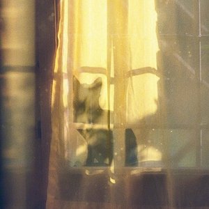 谋杀歌谣(cover苏诗丁)（翻自 苏诗丁）