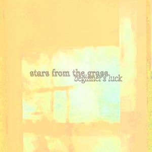 stars from the grass