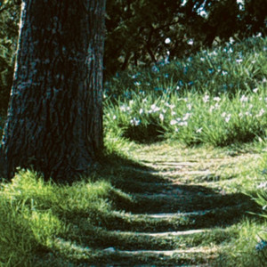 말하는 대로(Cover)