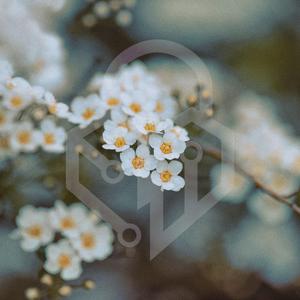 Đưa Tôi Trở Lại