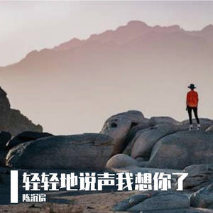 轻轻地说我想你 伴奏