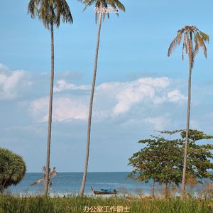 适合办公事务愉悦的音乐