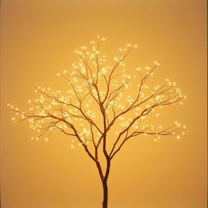 A thousand times I thank you