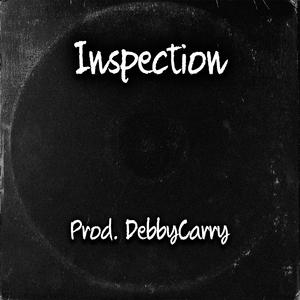 Inspection