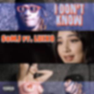 I Don't Know (feat. LUIXO)