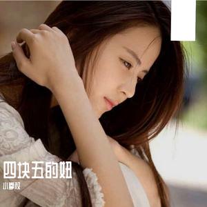 隔壁老樊-四块五的妞（小拳权 remix）