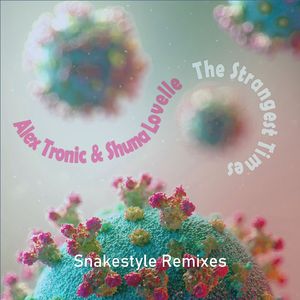 The Strangest Times (Snakestyle Dub Mix)