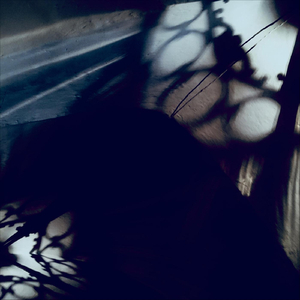 Lovetheme in Charcoal