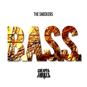 B.a.s.s
