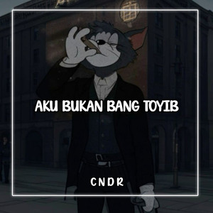 Aku Bukan Bang Toyib