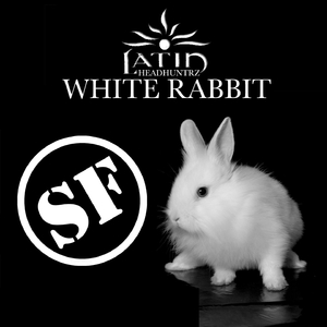 White Rabbit