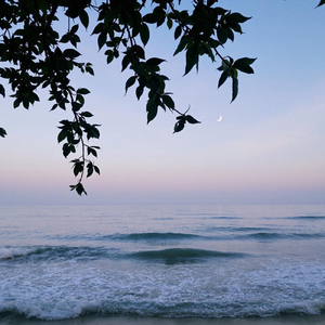 風の囁きメロディ