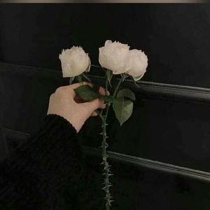 走过路过不要错过的免费beat(100%no￥)“இ”