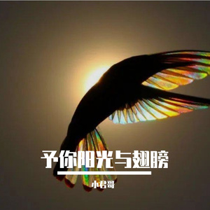 予你阳光与翅膀 伴奏