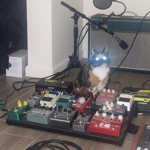 681