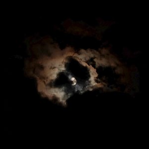 致遥远的 亲爱的你