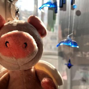 为棋-左卿辞同人曲