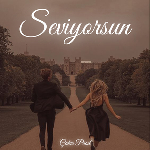 Seviyorsun