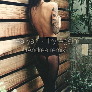 Try Again [Andrea Remix]