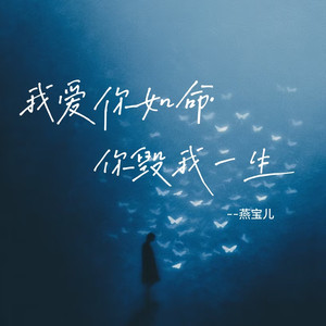 我爱你如命你毁我一生 (DJ版)