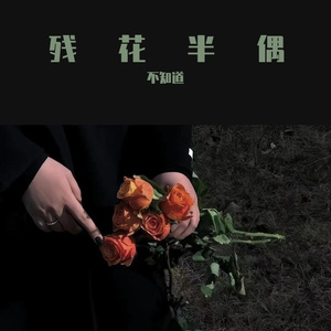 残花半偶 伴奏