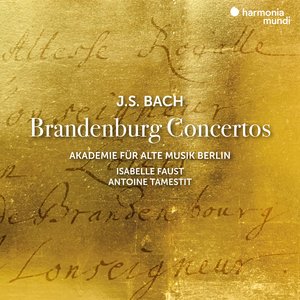Brandenburg Concerto No. 6 in B-Flat Major, BWV 1051: II. Adagio ma non tanto