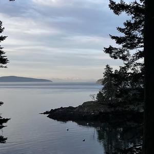 Riding Down South Lamar